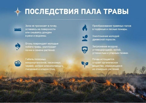 Пал травы. Пал травы.